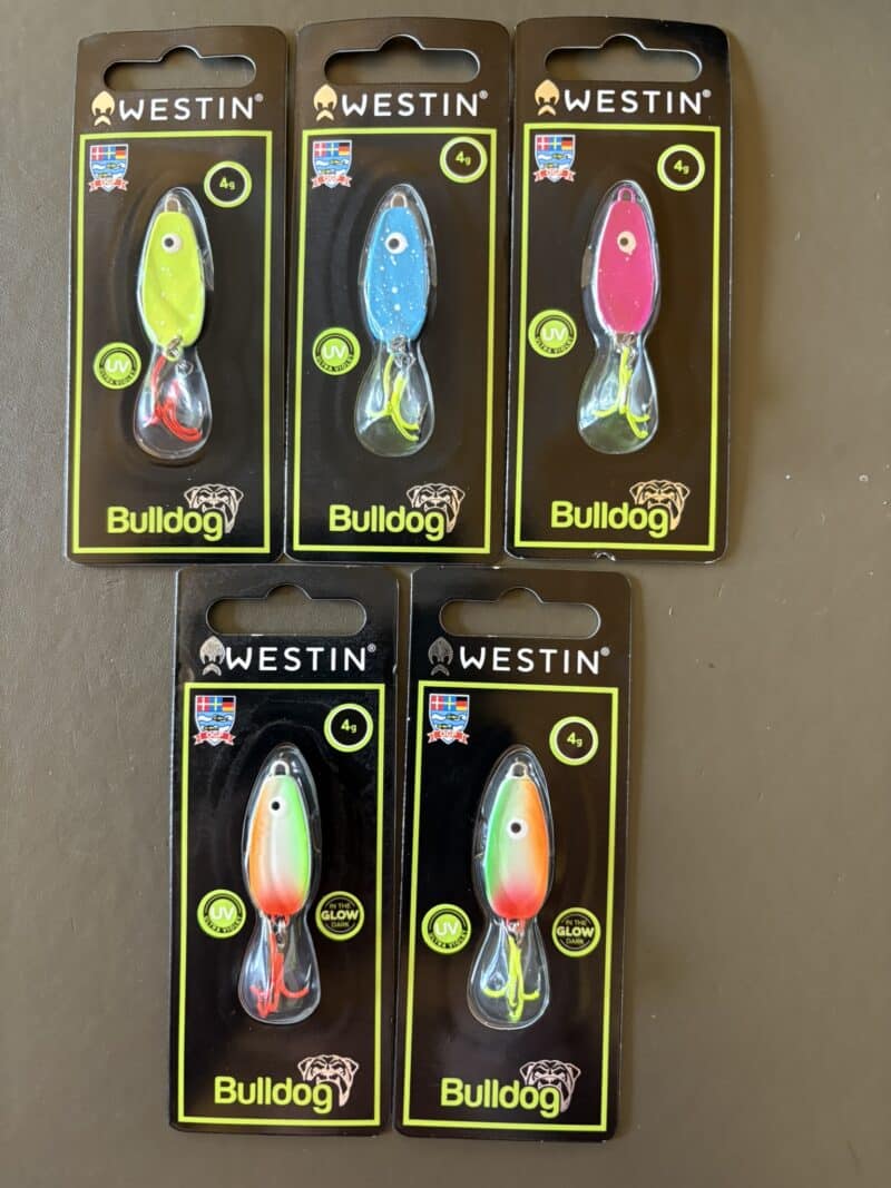 Westin Bulldog 4 G