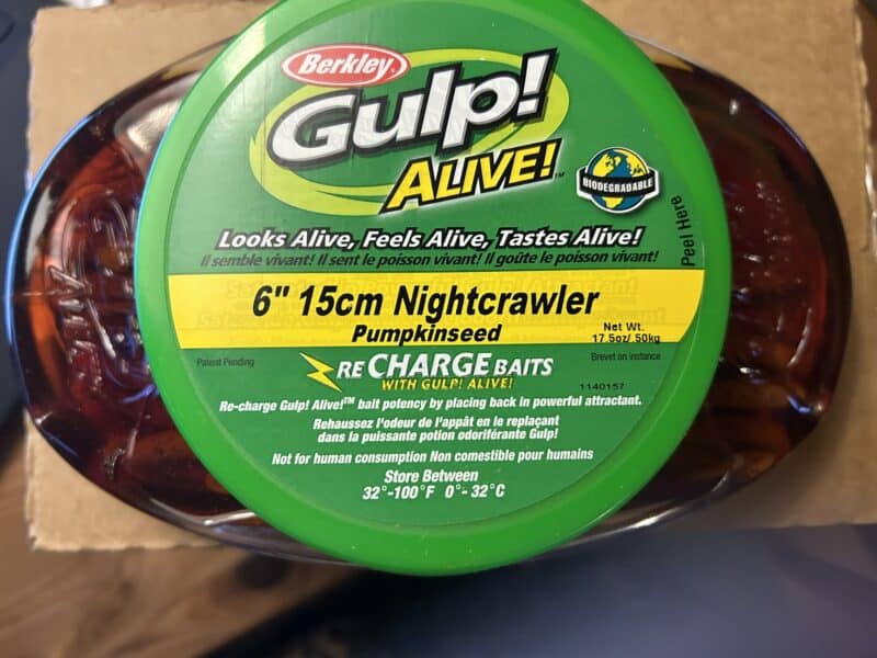 Berkley Gulp 6" 15 cm Nightcrawler