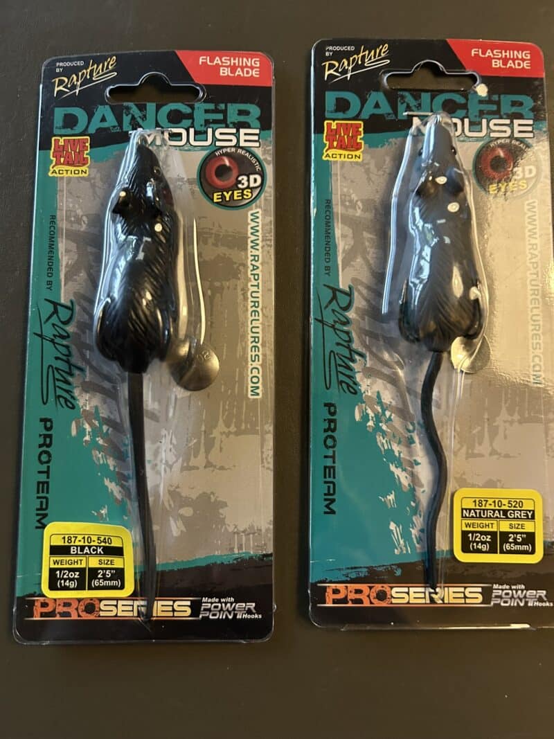 Rapture Dancer Mouse