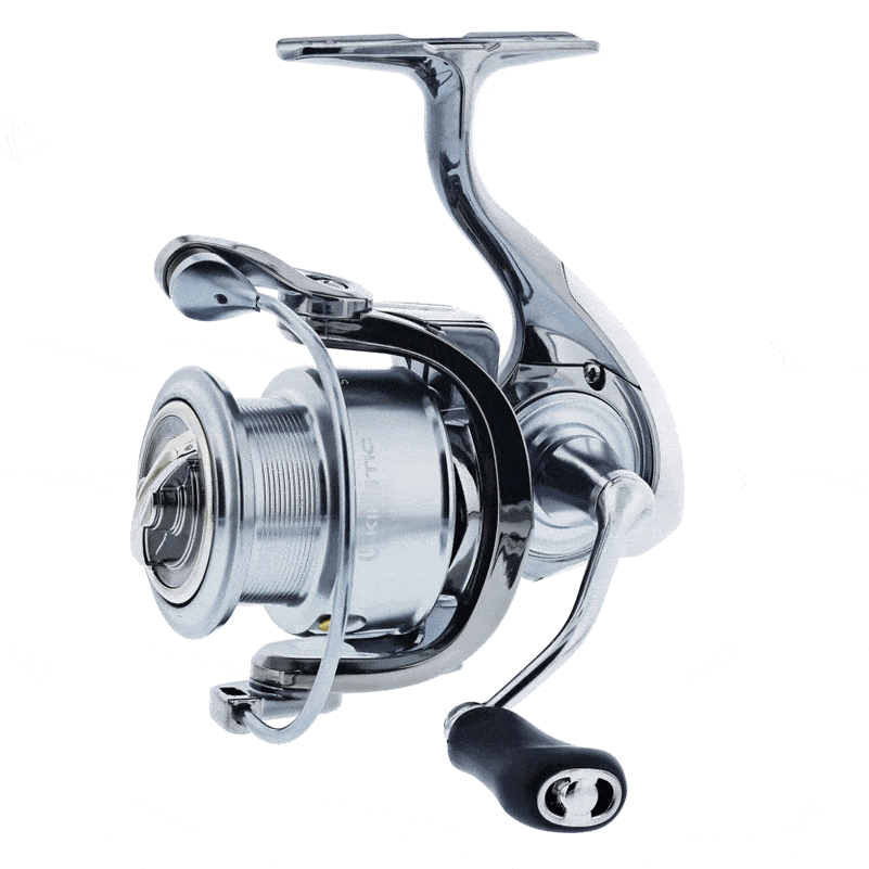 Kinetic Stardust 1000 FD - 2000 FD